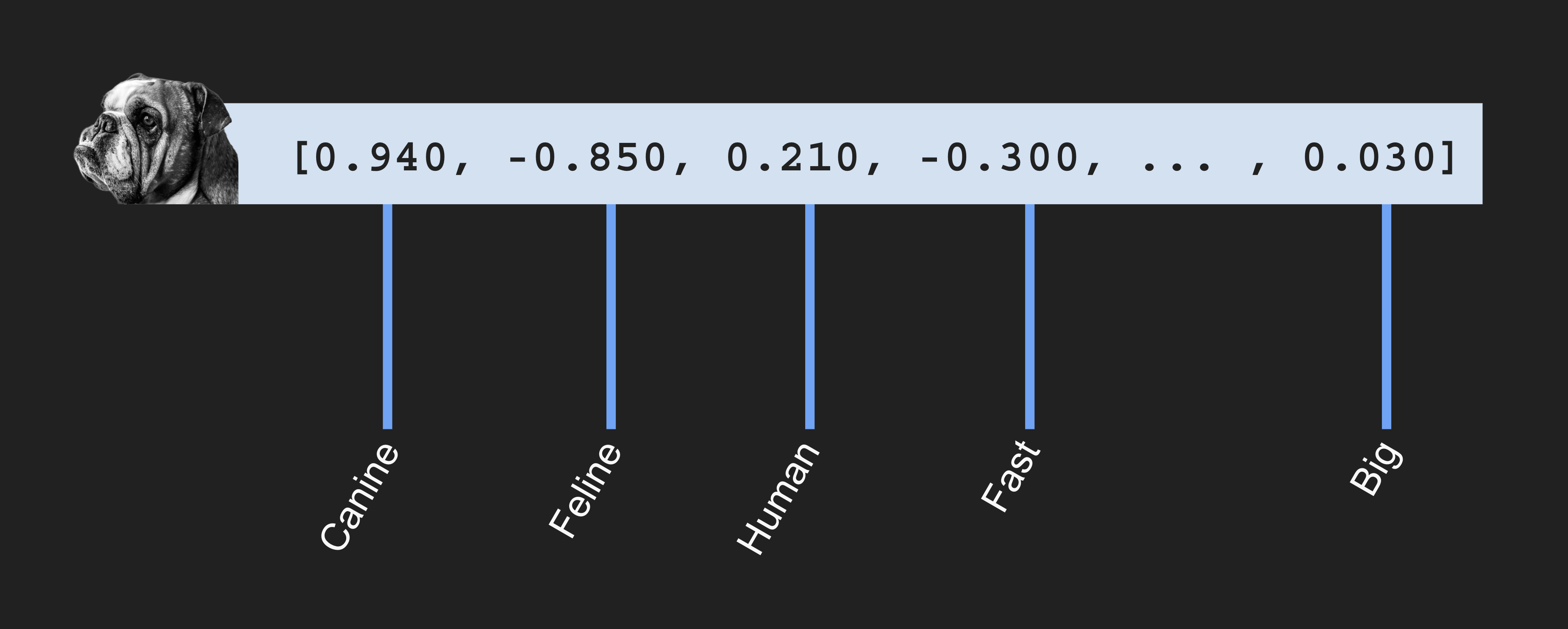 Vector example